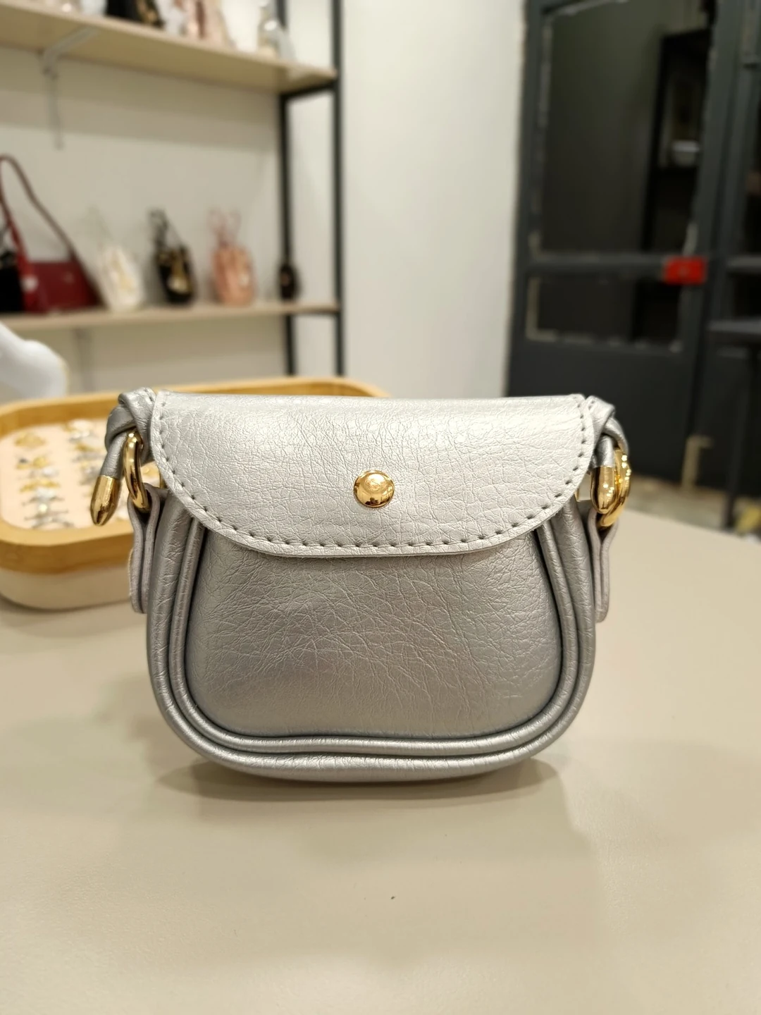 Gümüş Mini Kapaklı Çanta - Altın Renk Detaylı